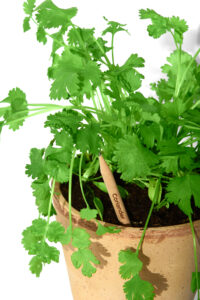 2021.10.19 skud0045 1-kopi