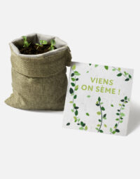 Kit à planter Basilic présentation