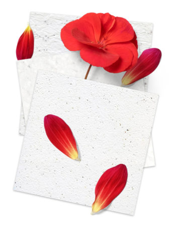 Echantillons papiers à planter