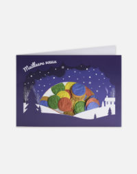 carte-recyclee-confettis-a-planter-let-it-snow-papierfleur-papier-a-graines