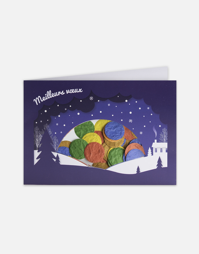 carte-recyclee-confettis-a-planter-let-it-snow-papierfleur-papier-a-graines
