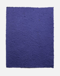 lot-de-feuilles-original-couleur-bleu-royal-papierfleur-non-imprimable-graines-papier-a-planter