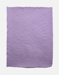 lot-de-feuilles-original-couleur-lavande-papierfleur-papier-a-graines-seedpaper-zero-dechet