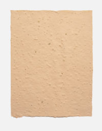 lot-de-feuilles-original-couleur-terra-cotta-papierfleur-non-imprimable-papier-ensemencee-graines-papeterie