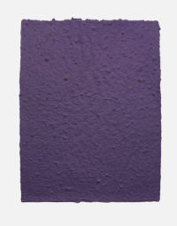 lot-de-feuilles-original-couleur-violet-papierfleur-papier-ensemence-graines-non-imprimable-seedpaper