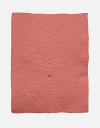 lot-de-feuilles-original-framboise-papierfleur-non-imprimable-papier-a-graines-fleurs