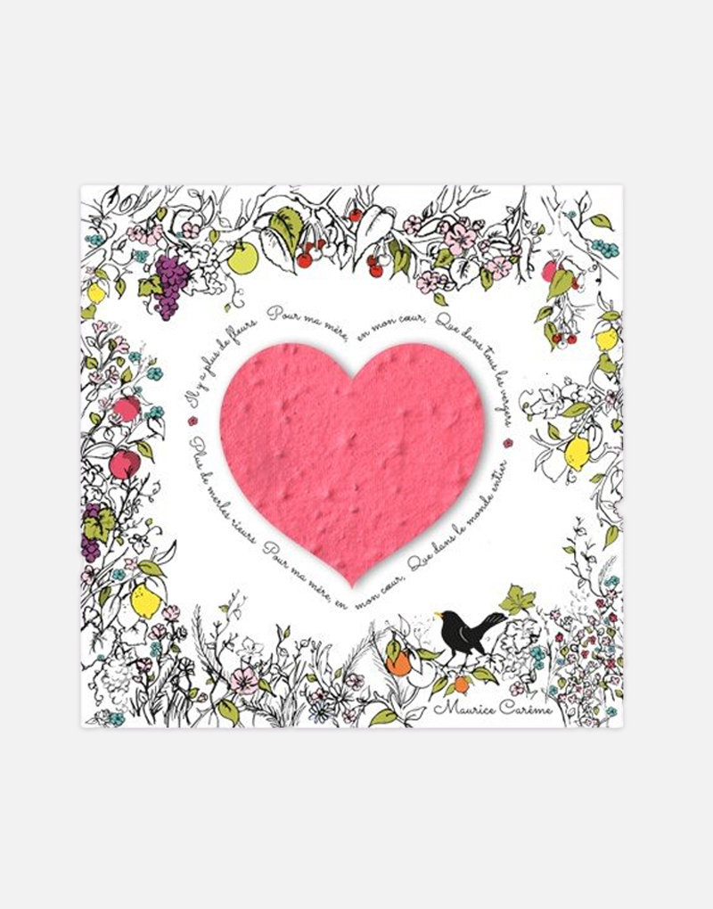 pour-ma-mere-carte-recyclee-coeur-framboise-a-planter-papierfleur-fete-maman-eco-responsable-cadeau