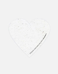 verso-carte-coeur-papierfleur-seedpaper-papier-a-planter