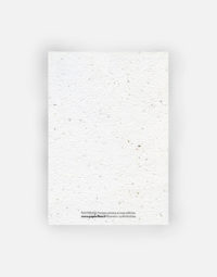 anniversaire-champetre-a6-verso-eco-papier