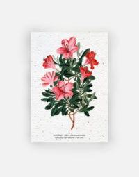carte-biodiversite-premium-azalee-a6-jardinage-ecological