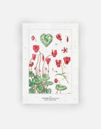 carte-biodiversite-premium-cyclamen-a6-natural-plantation