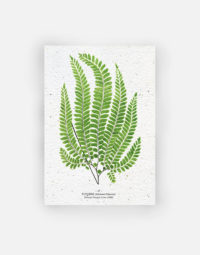 carte-biodiversite-premium-fougere-3-a6-foret-sauvage