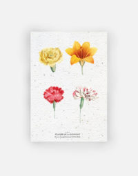 carte-biodiversite-premium-planche-a6-fleurette-ecologique