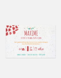 faire-part-naissance-girafe-10x15-elsa-verso-animal-protection