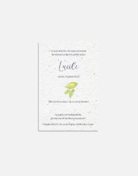 faire-part-naissance-jeune-pousse-papierfleur-verso