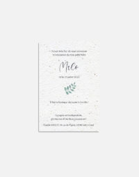 faire-part-naissance-jeune-pousse-verso-papierfleur-eco-responsable
