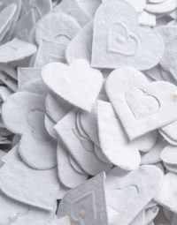 florettis-coeurs-blancs-papierfleur-forme-a-planter-zoom-seedpaper