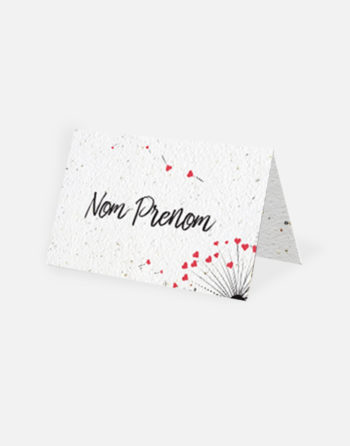 Marque place Pissenlit