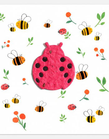 Zoom Faire part de naissance Coccinelle avec forme ensemencée