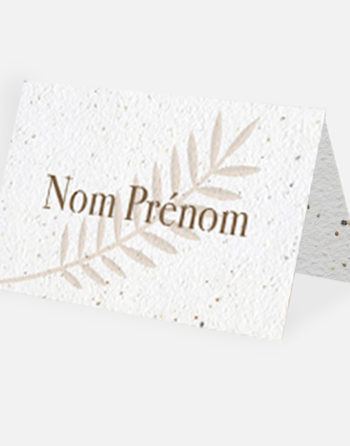 Zoom Marque place Les branches de Jules