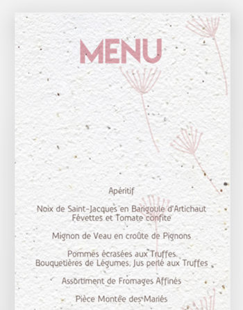 Zoom Menu autant en emporte le vent