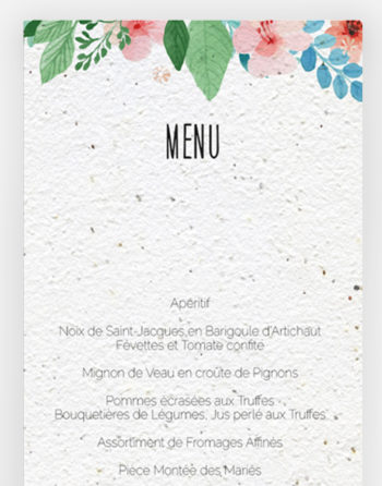 Zoom Menu Champ de fleurs