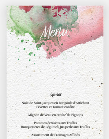 Zoom Menu La vie en couleurs