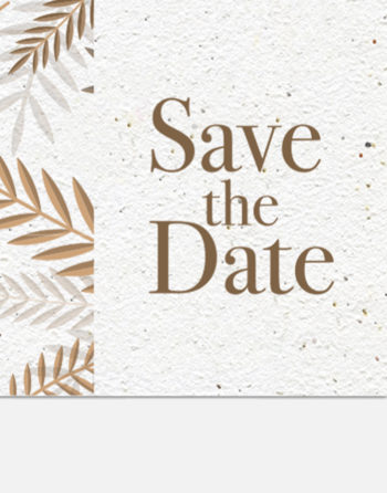 Zoom Save the date Les branches de Jules