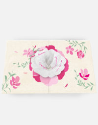 Pop-up-love-interieur-flowers-seeds