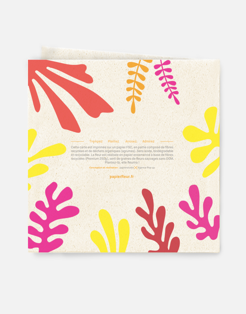 Pop-up-matisse-verso Carte Pop Up verso Matisse
