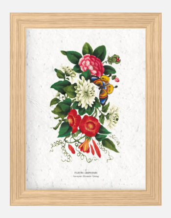 Affiche Biodiversité Fleurs Chinoises