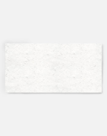 Enveloppe ensemencée rectangle