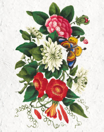 Zoom Affiche Biodiversité Fleurs Chinoises