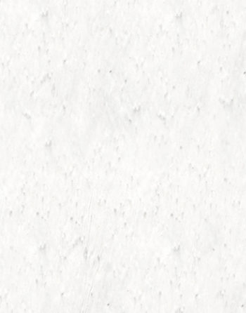 Zoom Enveloppe ensemencée 11x22