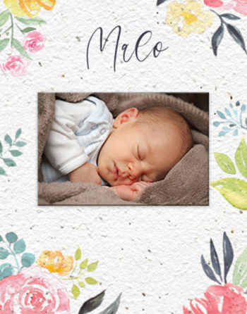 Zoom faire-part naissance Jeune pousse