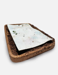 MOCK_UP_Ecrin-de-liege-3