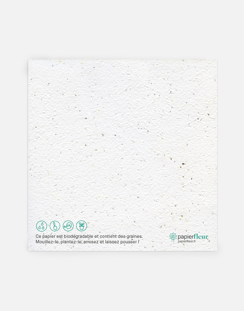 verso-carte-papierfleur-mode-emploi-papier-ensemence-premium Dos de carte avec mode d'emploi