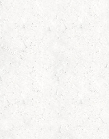 Zoom papier à planter plume