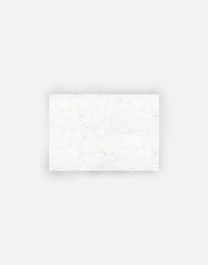 format-vierge-carte-de-visite-papierfleur-papier-ensemence-zero-dechet-personnalisation format vierge carte de visite papierfleur