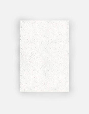 format vierge flyer plume