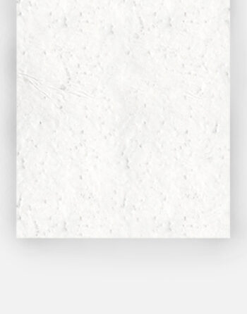 zoom carte de visite vierge