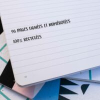 4 - lignées + numérotées