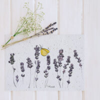 carte graines lavandes