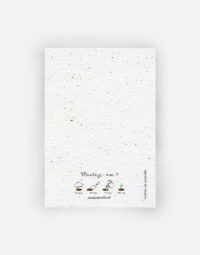 MOCK_UP_CAMOMILLE_A6_VERSO