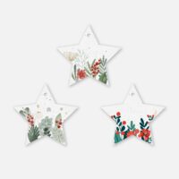 Etoiles à planter lot