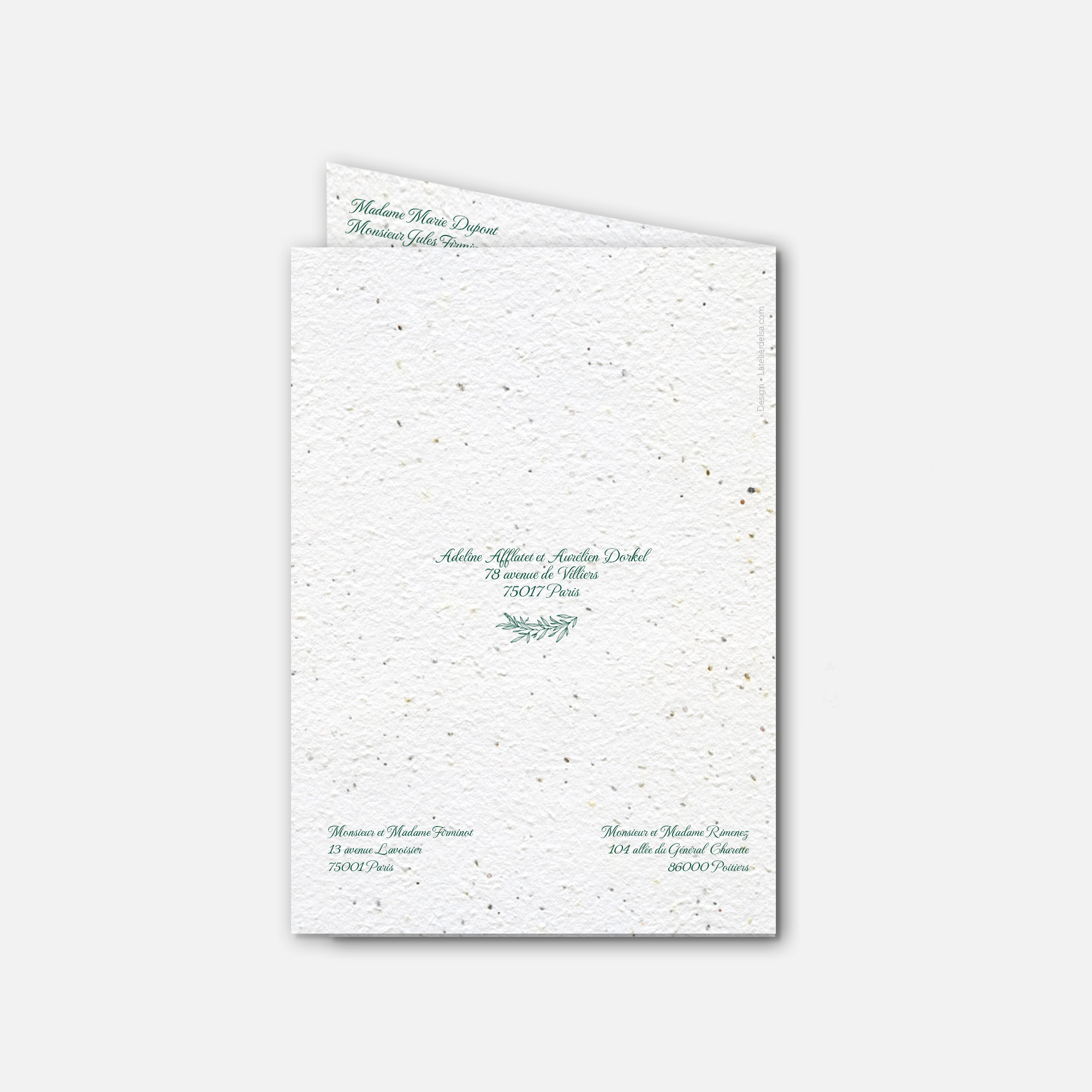 Mockup - couronne d'olivier - dos