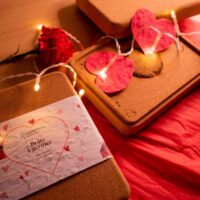 boite à germer amour