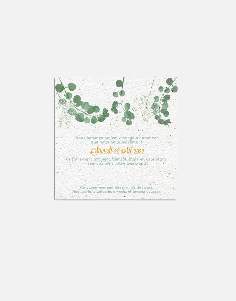 save the date à planter - STD - eucalyptus - verso