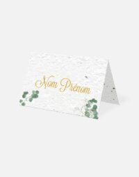 marque place à planter - eucalyptus - recto