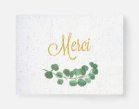 carte à planter merci eucalyptus - recto
